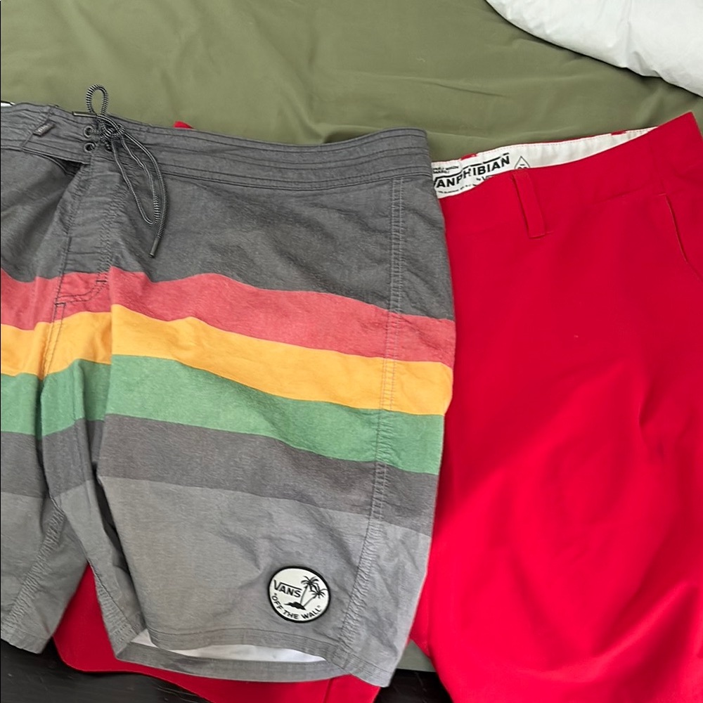 Vans Gray Swim Shorts with Colorful Stripes